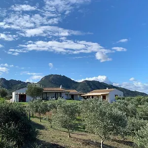Macciuneddu Country Retreat Pensión